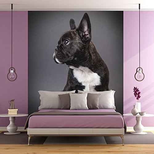 azutura French Bulldog Dog Portrait Wall Mural Wallpaper available in 8 Sizes Digital