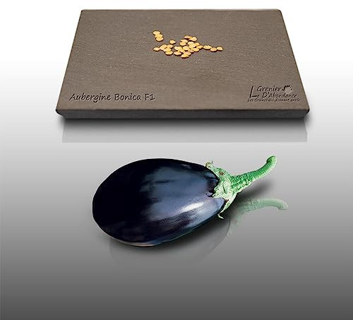 25 graines à semer - Le Grenier d'Abondance - AUBERGINE Noire Brillant Bonica - Spécialité Hybride F1