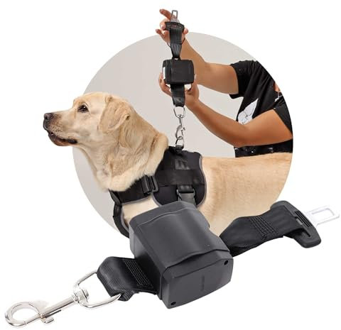 Automatik Sicherheitsgurt für Hunde im Auto - ausziehbar - aus Deutscher Produktion / Anschnallgurt Hund Auto für mittlere und große Hunde / Hundegurt mit drehbarem Edelstahl Karabiner