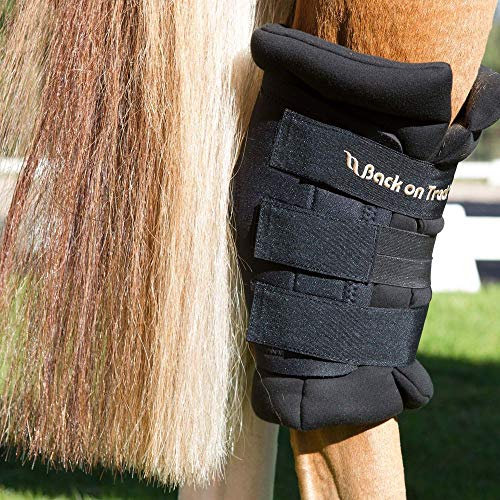 Back on Track Sprunggelenkschoner Royal Welltex® 1 Paar (L)
