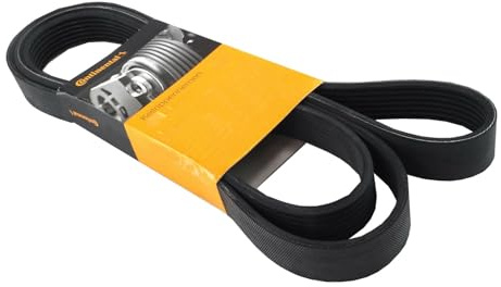 CONTITECH AVX10X1625 Keilriemen 1625mm