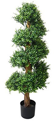 Pure Garden árbol de boj Espiral, 48