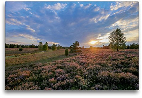 Premium Textil-Leinwand 75 x 50 cm Quer-Format Sonnenuntergang im Büsenbachtal bei Handeloh | Wandbild, HD-Bild auf Keilrahmen, Fertigbild auf hochwertigem Vlies, Leinwanddruck von Heike Nack
