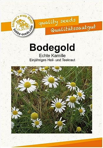 Kräutersamen Bodegold Kamille Portion
