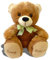 Plüschbär Emmy individuell bestickt 30cm hoch knuddeliges Stofftier personalisiert mit eigenen Daten, Geschenk mit Namen personalisierter Bär, Plüschtier mit Bestickung Teddy zur Geburt | BärEmmy1