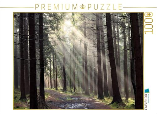 CALVENDO Puzzle Nach dem Regen, Erzgebirge | 1000 Teile Lege-Größe 64 x 48 cm Foto-Puzzle für glückliche Stunden