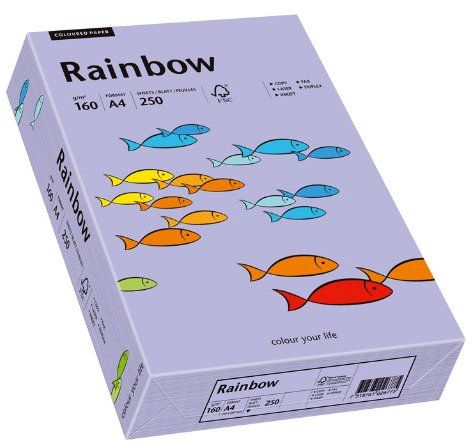 Papyrus 88042571 Drucker-/Kopierpapier farbig, Bastelpapier: Rainbow 160 g/m², A4 250 Blatt, Matt, violett