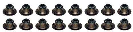 AJUSA 57025400 Ventilschaftdichtung-Satz Kompatibel mit LAND ROVER Discovery I LJ LJQ100560x16 LJQ10056016x