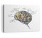 Wandbilder Dekoration Wohnzimmer Gehirn Bildung Experiment Illustration Bilder auf Leinwand 120x80cm Leinwandbild Schlafzimmer Deko Wand Kunstdruck Art Groß XXL Wanddeko Bild Canvas AA120x80-2975