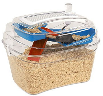 Rosewood Abode Gerbilarium for Gerbils & Mice