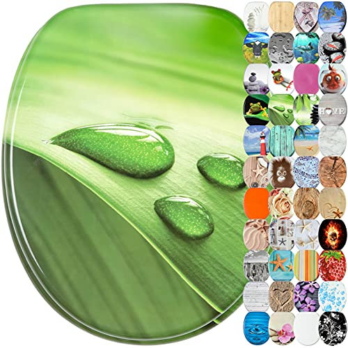 Sanilo Toilet Seat, Wide Choice of Beautiful Toilet Seats, Stable Hinges, Easy to Mount (Green Leaf)
