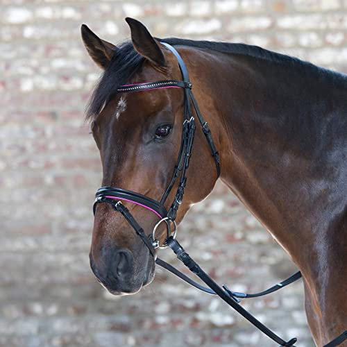 WALDHAUSEN Star Trensenzaum Diamond ENGL.Komb, Fuchsia, Minishetty