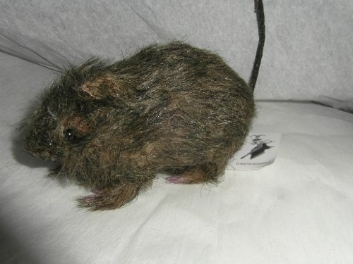1 DEKO RATTE HORROR HALLOWEEN PARTY DEKO
