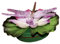Best Season 066-38 LED Schwimmlicht Seerose mit Libelle RGB Farbwechsel