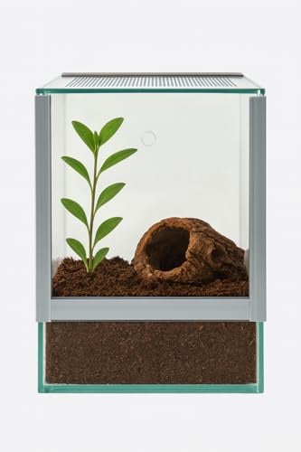 Glas Terrarium Glasterrarium 20x20x30 20 30 Falltür