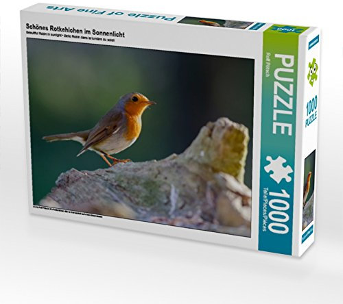 CALVENDO Puzzle Schönes Rotkehlchen im Sonnenlicht 1000 Teile Puzzle quer | 1000 Teile Lege-Größe 64 x 48 cm Foto-Puzzle für glückliche Stunden