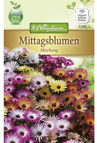 Chrestensen Mittagsblumen 'Mischung'