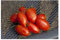 PREMIER SEEDS DIRECT Tomato - Trailing - SUNSTRIPE F1-20 Finest Seeds