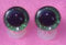 celloexpress 3D Green 30mm Glitter Sparkle Eyes with Plastic Backs - Safety Glitter Sparkle Eyes for Soft Toy or Teddy Bear Making - Pack of 1 Pair