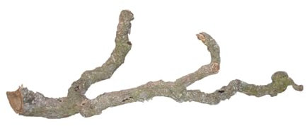 Lucky Reptile Tronchos - Korkäste, Größe:90-120 cm