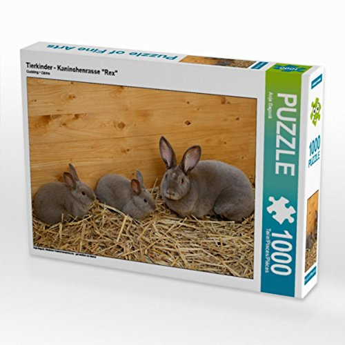 CALVENDO Puzzle Tierkinder - Kaninchenrasse Rex | 1000 Teile Lege-Größe 64 x 48 cm Foto-Puzzle für glückliche Stunden