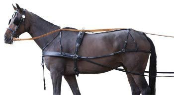 Zweispännergeschirr Standard, schwarz Pony