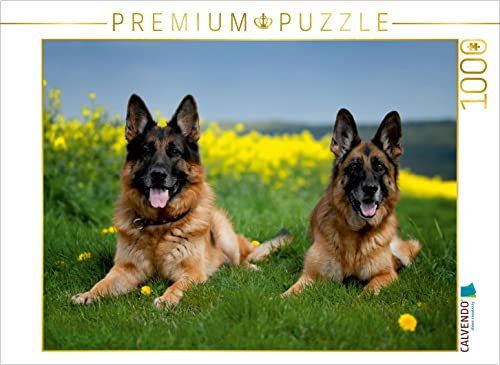 CALVENDO Puzzle Deutsche Schäferhunde 1000 Teile Puzzle quer | 1000 Teile Lege-Größe 64 x 48 cm Foto-Puzzle für glückliche Stunden