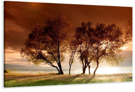 Visario Bild auf Leinwand Natur 120 x 80 cm Modell-Nr. XXL 5025 Bilder fertig gerahmt auf echtem Holzrahmen riesig. Ausführung Kunstdruck als Wandbild auf Rahmen.