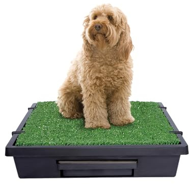 PetSafe Pet Loo Portable Dog Potty - Pet Toilet Alternative for Puppy Pads - Medium - Perfect for House Training - Easy-to-Clean Grass Mat