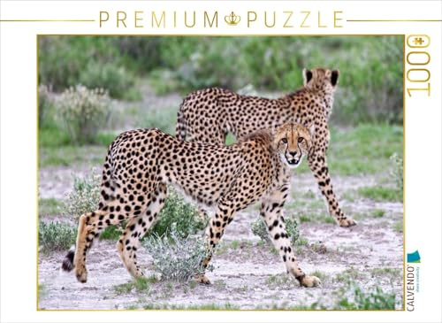 CALVENDO Puzzle Geparden-Duo | 1000 Teile Lege-Größe 64 x 48 cm Foto-Puzzle für glückliche Stunden