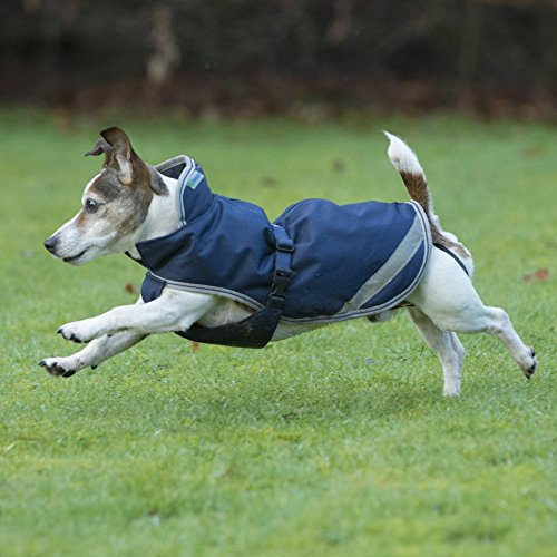 Freedom Dog Rug 300g, Navy/silver (70)