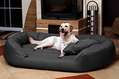 tierlando® Hundebett Sammy Komfort mit herausnehmbarer 4-Kammer-Matratze und hohem Rand aus Polyester 600D für große und schwere Hunde Größe: 170x110cm | Farbe: 02 Graphit