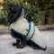 Danish Design Tweed Hundemantel, 30 cm, transparent