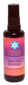 Essenz: Mut zum Konflikt, 50ml