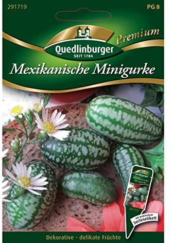 Quedlinburger Saatgut Mexikanische Minigurke Samen