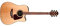 Takamine GD93CE-NAT Natural