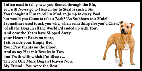 Staffordshire Bull Terrier Staffy bereavement pet dog loss Flexible Fridge Magnet - One more Dog in Heaven