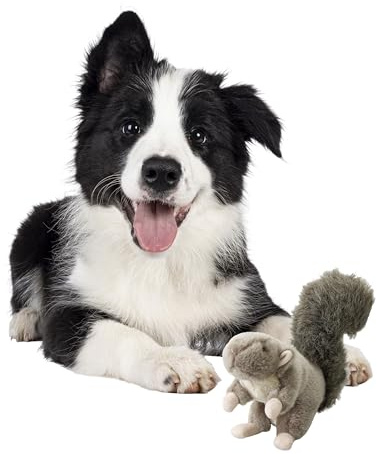 SPOT Woodland Collection Squirrel | Dog Squeak Toys | Grunt Toy | Puppy Toys | Plush Fabric | 9.5 | Interactive Dog Toy | By Ethical Pet
