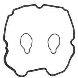 Reinz 15-53998-01 Dichtungssatz, Zylinderkopfhaube