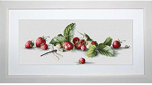 Luca-S Kreuzstichset Etüde mit Erdbeeren und Libelle Aida, Zählmuster, 49,5x18,5cm