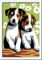Ravensburger CreArt 29681 - Süße Welpen - Malen nach Zahlen Hunde für Kinder ab 7 Jahre, Malset mit Rahmen, Pinsel und Acrylfarben, Geschenk für Mädchen und Jungen
