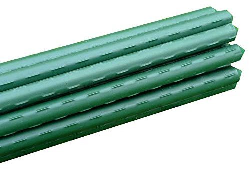 GardenSkill Garden Plant Stakes - Plastic-Coated Metal Plant Supports for Vegetables Flowers Fruit (11mm dia x 0.75m, Pack 10)