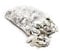 WilTec Coquilles d'huîtres 5kg-Sachet stabilisation du pH matériaux de Filtration