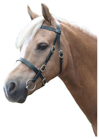 Shires Blenheim Plain Inhand Bridle-Black Cob