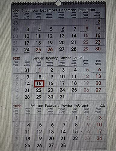 3-Monats-Wandkalender 2019 rot/schwarz