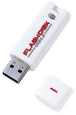 Sanwa Supply UFD-RW1G2W USB 2.0 USB Flash Disk