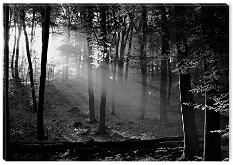 Startonight Glasbild Morgen in den Wäldern in Schwarz und Weiß, Bild auf Acrylglas Muster Modern Dekoration Fertig zum Aufhängen 60 x 90 cm