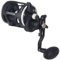 PENN Rival Level Wind Rollen