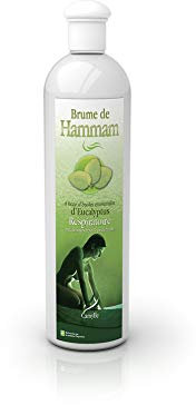 Camylle - Brume de Hammam Eucalyptus - Fragrances à base d'Huiles Essentielles pour Hammams, Bains de Vapeur ou Douches Hammam - Respiratoire aux arômes frais et pénétrants - 250ml