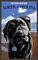 Northwest Art Mall Outer Banks Black Lab North Carolina Wandschmuck von Joanne Kollman, 28 x 43 cm